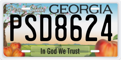 GA license plate PSD8624