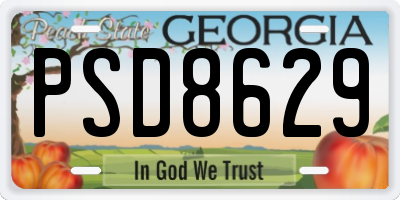 GA license plate PSD8629