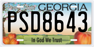 GA license plate PSD8643