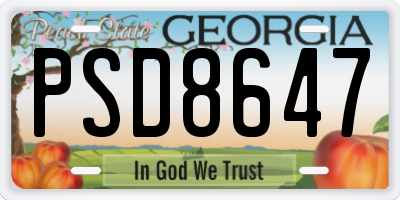 GA license plate PSD8647