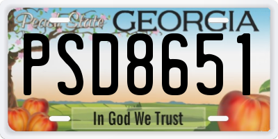 GA license plate PSD8651