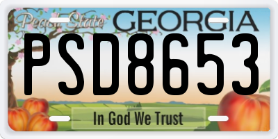 GA license plate PSD8653