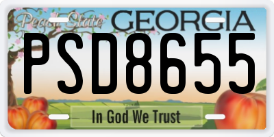 GA license plate PSD8655