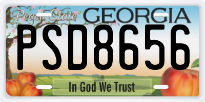 GA license plate PSD8656
