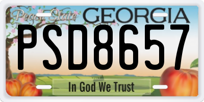GA license plate PSD8657