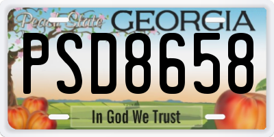 GA license plate PSD8658