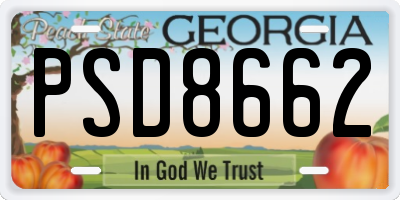 GA license plate PSD8662