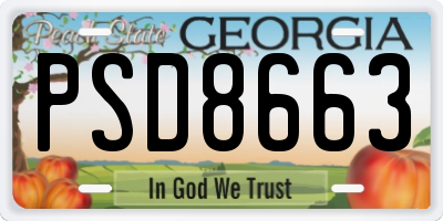 GA license plate PSD8663