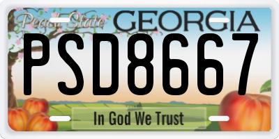 GA license plate PSD8667