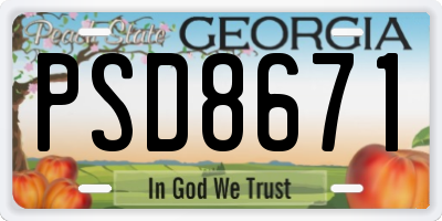GA license plate PSD8671
