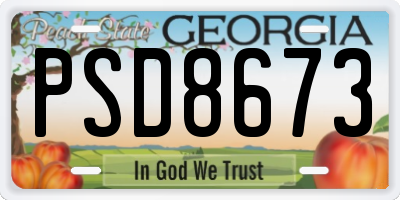 GA license plate PSD8673