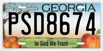 GA license plate PSD8674