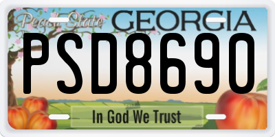 GA license plate PSD8690