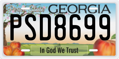 GA license plate PSD8699