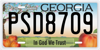 GA license plate PSD8709