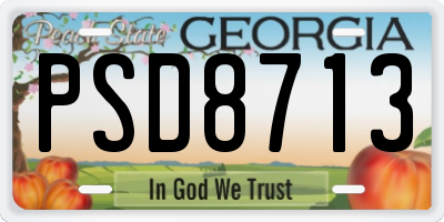 GA license plate PSD8713