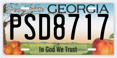 GA license plate PSD8717