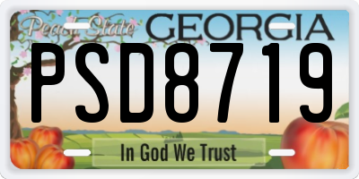 GA license plate PSD8719
