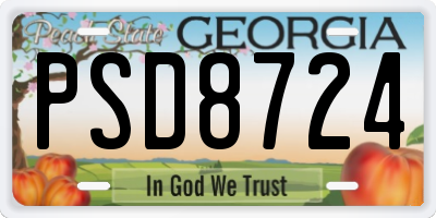 GA license plate PSD8724