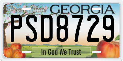 GA license plate PSD8729