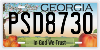 GA license plate PSD8730