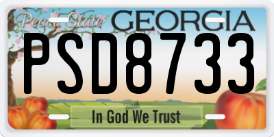GA license plate PSD8733