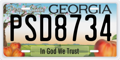 GA license plate PSD8734