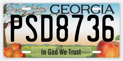 GA license plate PSD8736