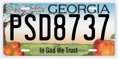 GA license plate PSD8737