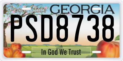 GA license plate PSD8738