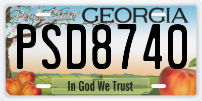 GA license plate PSD8740
