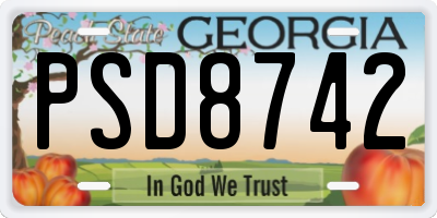 GA license plate PSD8742