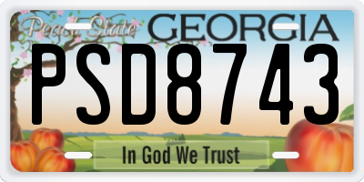 GA license plate PSD8743