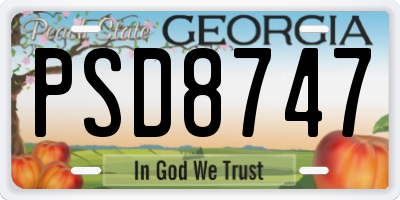 GA license plate PSD8747