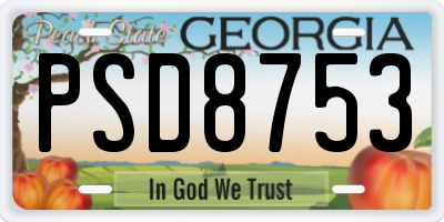 GA license plate PSD8753