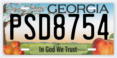 GA license plate PSD8754