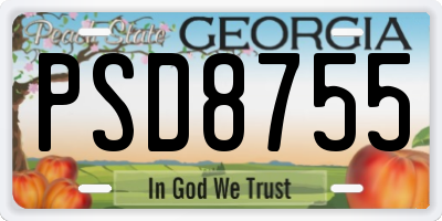 GA license plate PSD8755