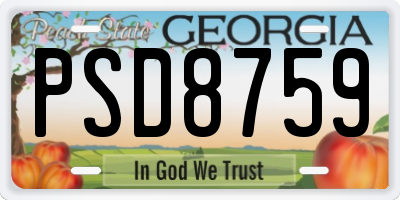 GA license plate PSD8759