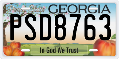 GA license plate PSD8763