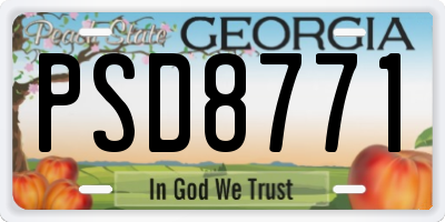 GA license plate PSD8771