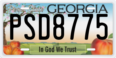 GA license plate PSD8775