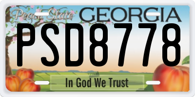 GA license plate PSD8778