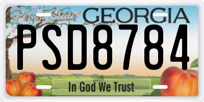 GA license plate PSD8784