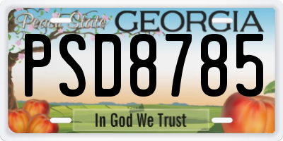 GA license plate PSD8785