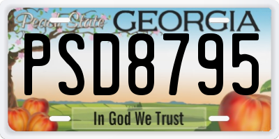 GA license plate PSD8795