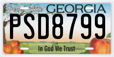 GA license plate PSD8799