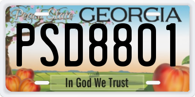 GA license plate PSD8801