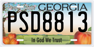 GA license plate PSD8813