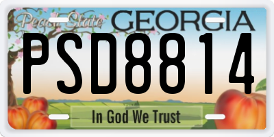 GA license plate PSD8814