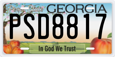 GA license plate PSD8817